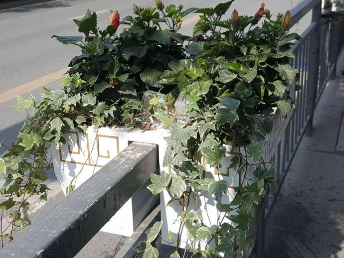 欄桿壁掛金屬花箱-道路護欄景觀花箱